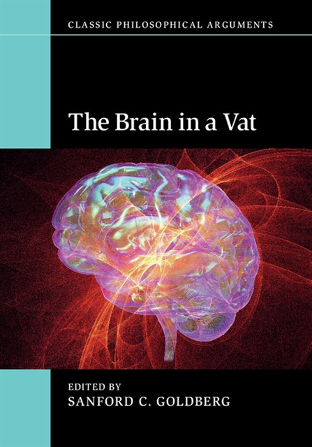 Sanford C. Goldberg - Brain in a Vat, E-bok