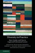 Diversity in Practice