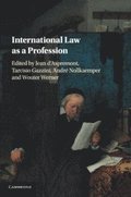 International Law as a Profession