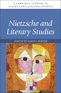 Nietzsche and Literary Studies