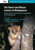 Dwarf and Mouse Lemurs of Madagascar