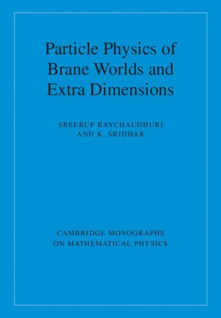K. Sridhar, Sreerup Raychaudhuri - Particle Physics of Brane Worlds and Extra Dimensions, E-bok