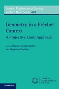 Geometry in a Fr�chet Context