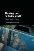 Theology in a Suffering World