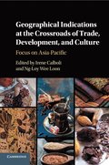 Geographical Indications at the Crossroads of Trade, Development, and Culture