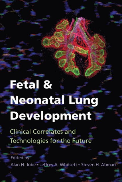 Steven H. Abman, Jeffrey A. Whitsett, Alan H. Jobe - Fetal and Neonatal Lung Development, E-bok