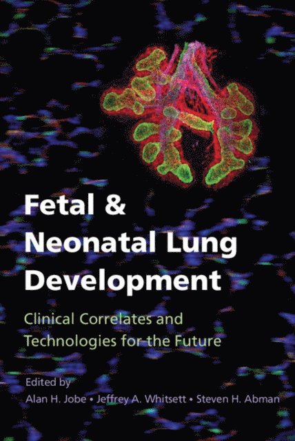 Steven H. Abman, Jeffrey A. Whitsett, Alan H. Jobe - Fetal and Neonatal Lung Development, E-bok