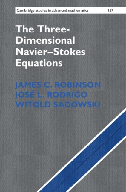 Witold Sadowski, Jose L. Rodrigo, James C. Robinson - Three-Dimensional Navier-Stokes Equations, E-bok