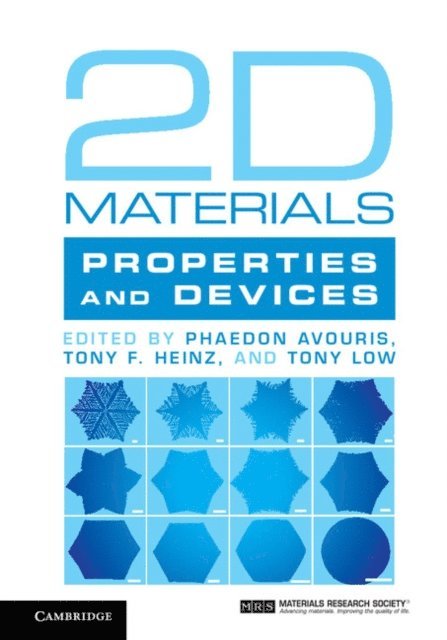 Tony Low, Tony F. Heinz, Phaedon Avouris - 2D Materials, E-bok