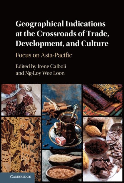 Wee Loon Ng-Loy, Irene Calboli - Geographical Indications at the Crossroads of Trade, Development, and Culture, E-bok