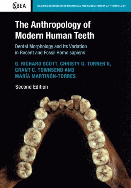Maria Martinon-Torres, Grant C. Townsend, Christy G. Turner II, G. Richard Scott - Anthropology of Modern Human Teeth, E-bok