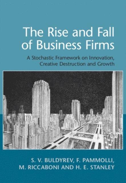 H. E. Stanley, M. Riccaboni, F. Pammolli, S. V. Buldyrev - Rise and Fall of Business Firms, E-bok