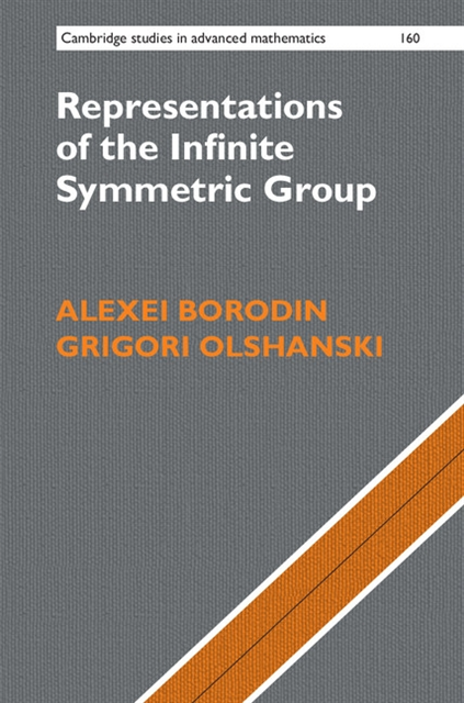 Grigori Olshanski, Alexei Borodin - Representations of the Infinite Symmetric Group, E-bok