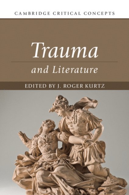 J. Roger Kurtz - Trauma and Literature, E-bok
