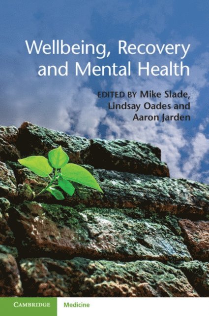 Aaron Jarden, Lindsay Oades, Mike Slade - Wellbeing, Recovery and Mental Health, E-bok