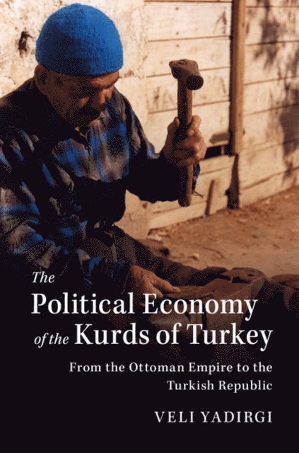 Veli Yadirgi - Political Economy of the Kurds of Turkey, E-bok