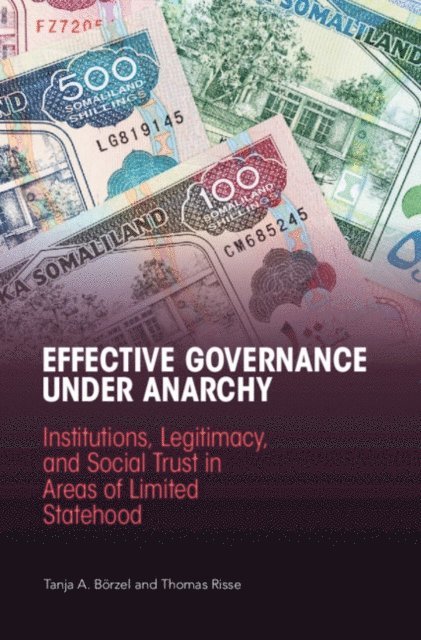 Thomas Risse, Tanja A. Borzel - Effective Governance Under Anarchy, E-bok