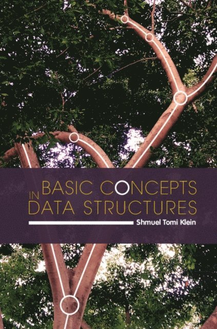 Shmuel Tomi Klein - Basic Concepts in Data Structures, E-bok