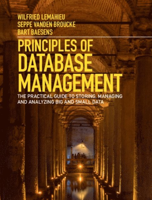 Bart Baesens, Seppe vanden Broucke, Wilfried Lemahieu - Principles of Database Management, E-bok