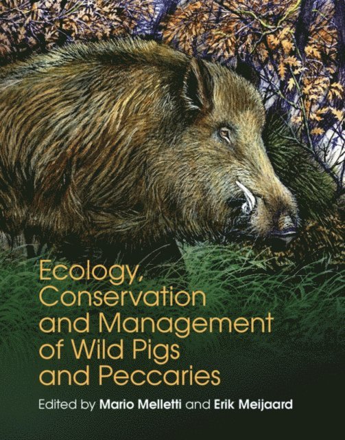 Erik Meijaard, Mario Melletti - Ecology, Conservation and Management of Wild Pigs and Peccaries, E-bok