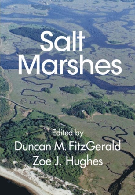 Zoe J. Hughes, Duncan M. FitzGerald - Salt Marshes, E-bok