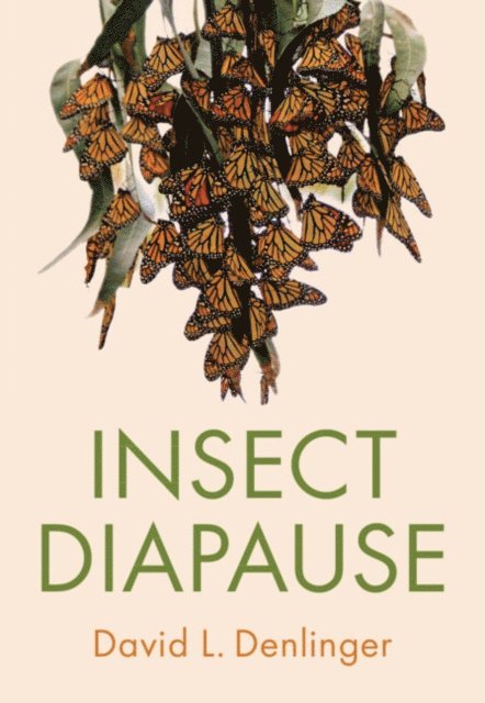 David L. Denlinger - Insect Diapause, E-bok