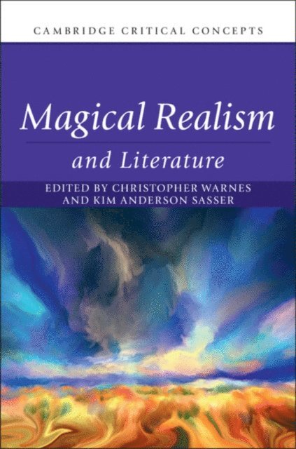 Kim Anderson Sasser, Christopher Warnes - Magical Realism and Literature, E-bok