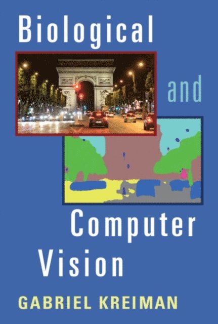 Gabriel Kreiman - Biological and Computer Vision, E-bok