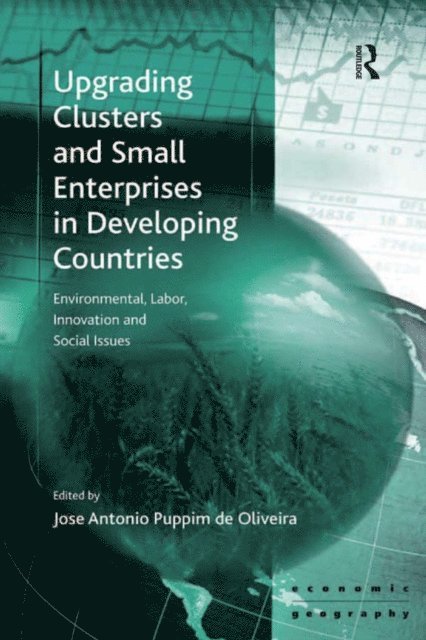 Jose Antonio Puppim de Oliveira - Upgrading Clusters and Small Enterprises in Developing Countries, E-bok