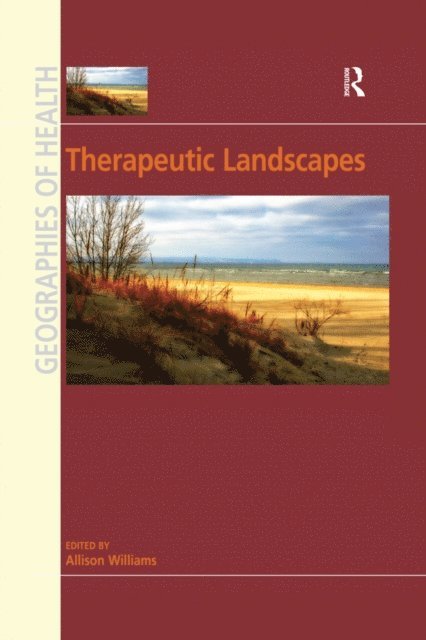 Allison Williams - Therapeutic Landscapes, E-bok