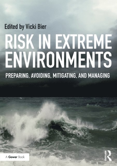 Vicki M. Bier - Risk in Extreme Environments, E-bok