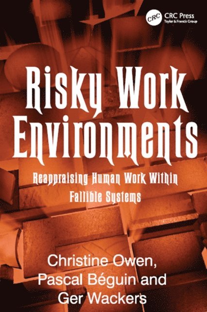 Pascal Beguin, Christine Owen - Risky Work Environments, E-bok