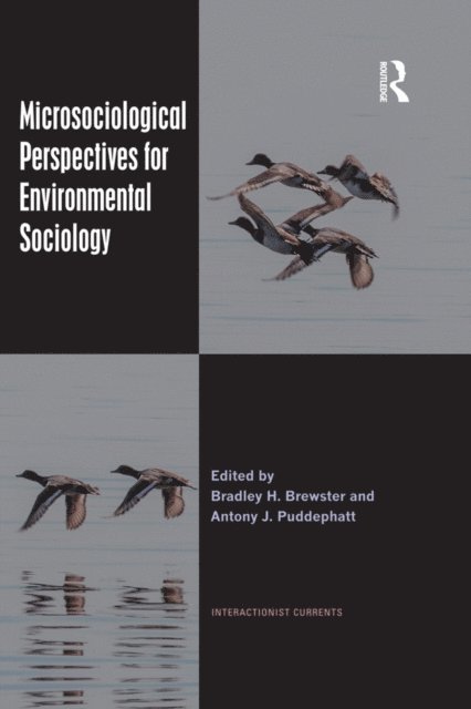 Antony J. Puddephatt, Bradley H. Brewster - Microsociological Perspectives for Environmental Sociology, E-bok