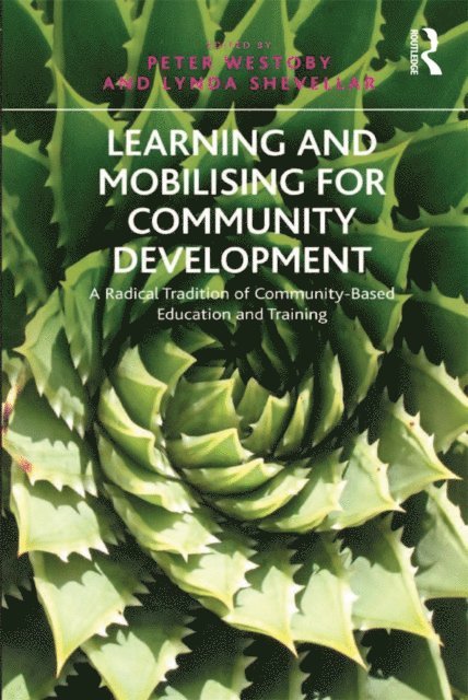 Lynda Shevellar, Peter Westoby - Learning and Mobilising for Community Development, E-bok