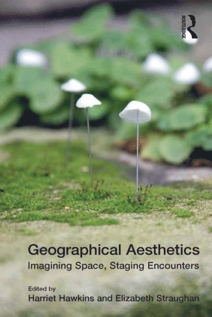 Elizabeth Straughan, Harriet Hawkins - Geographical Aesthetics, E-bok