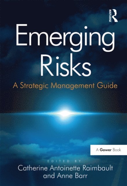 Anne Barr, Catherine Antoinette Raimbault - Emerging Risks, E-bok