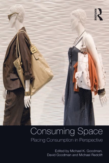 David Goodman, Michael K. Goodman - Consuming Space, E-bok