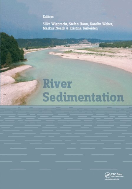 Kristina Terheiden, Markus Noack, Karolin Weber, Stefan Haun, Silke Wieprecht - River Sedimentation, E-bok