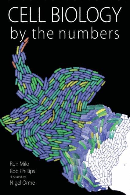 Rob Phillips, Ron Milo - Cell Biology by the Numbers, E-bok