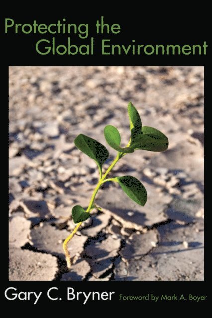 Gary C Bryner - Protecting the Global Environment, E-bok