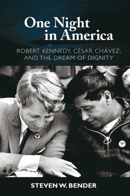 Steven W. Bender - One Night in America, E-bok