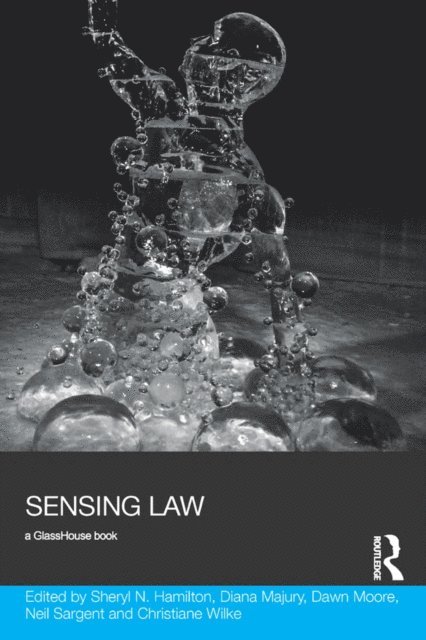 Christiane Wilke, Neil Sargent, Dawn Moore, Diana Majury, Sheryl Hamilton - Sensing Law, E-bok