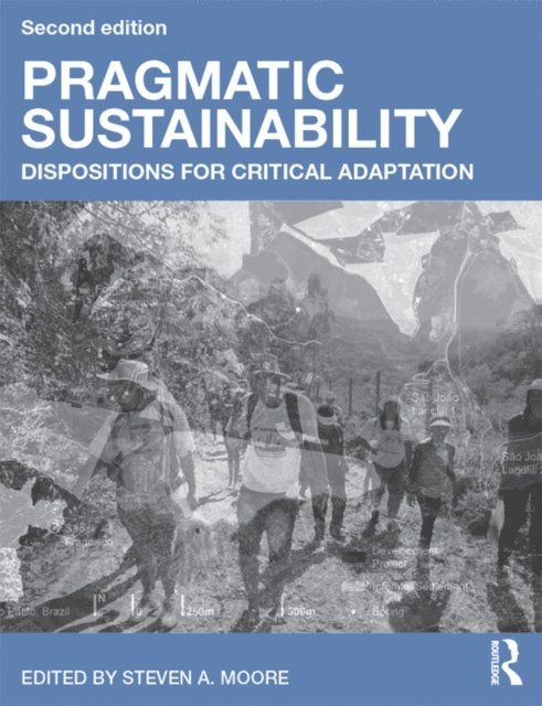 Steven A. Moore - Pragmatic Sustainability, E-bok