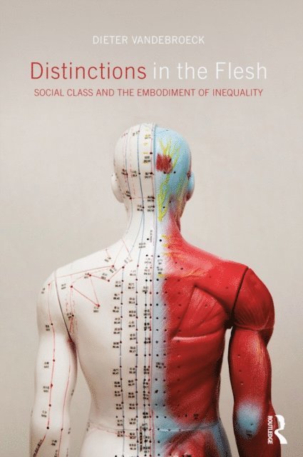 Dieter Vandebroeck - Distinctions in the Flesh, E-bok