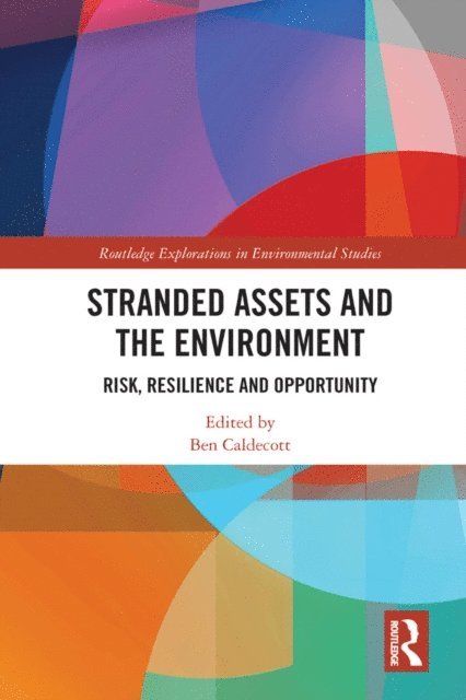Ben Caldecott - Stranded Assets and the Environment, E-bok