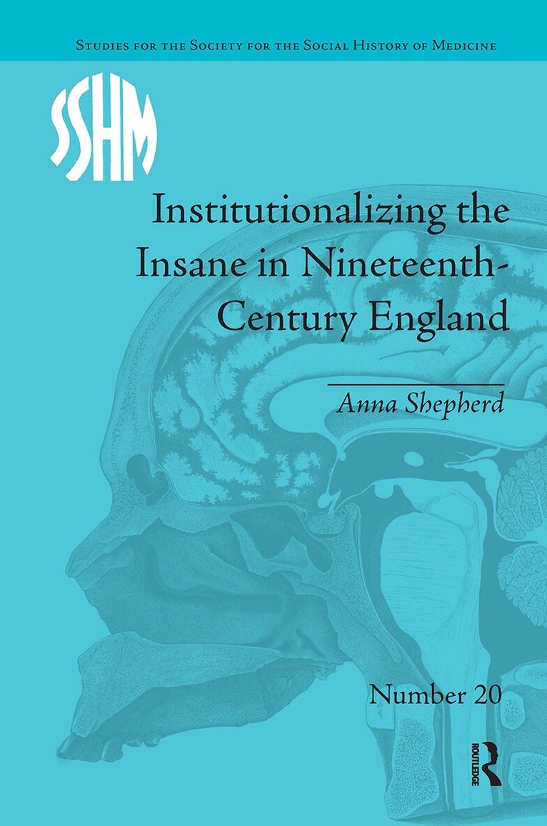 Anna Shepherd - Institutionalizing the Insane in Nineteenth-Century England, E-bok