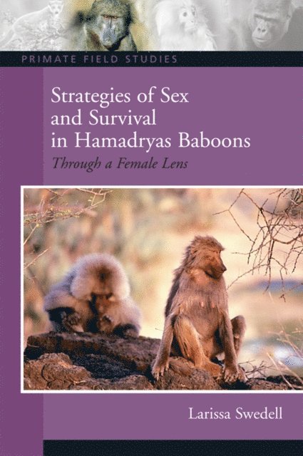 Larissa Swedell - Strategies of Sex and Survival in Female Hamadryas Baboons, E-bok