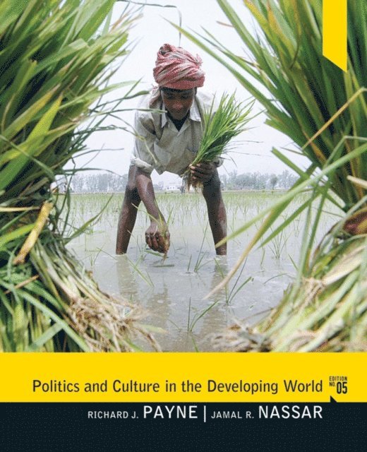 Jamal R. Nassar, Richard J. Payne - Politics and Culture in the Developing World, E-bok