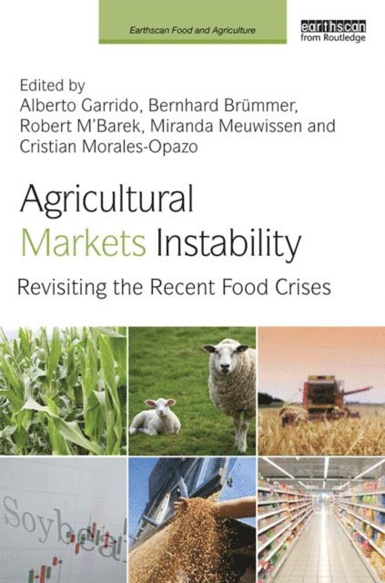 Cristian Morales-Opazo, Miranda Meuwissen, Robert M'Barek, Bernhard Brummer, Alberto Garrido - Agricultural Markets Instability, E-bok