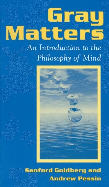 Andrew Pessin, Sanford Goldberg - Gray Matters, E-bok
